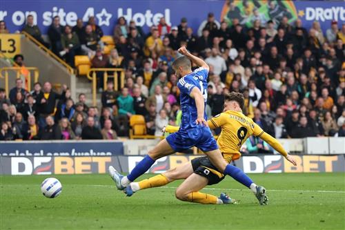 Master Bet King Live Betting Strategies